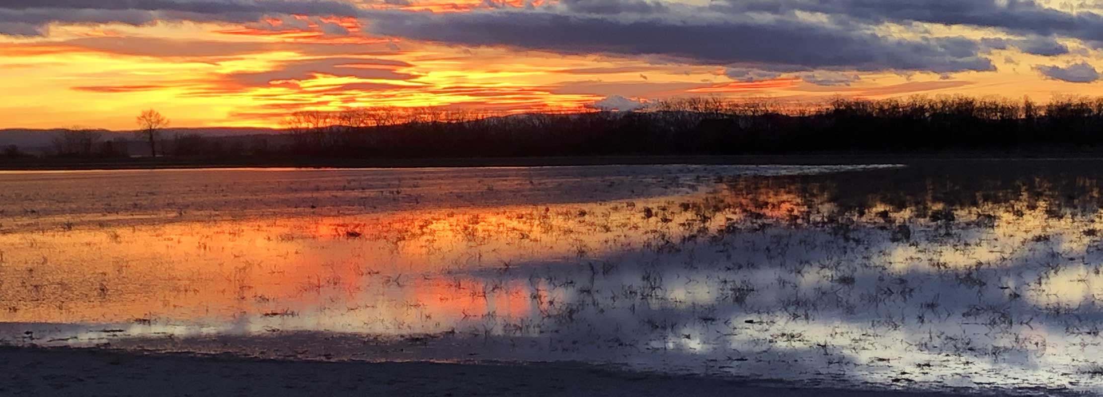 Sonnenuntergang am Neusiedlersee