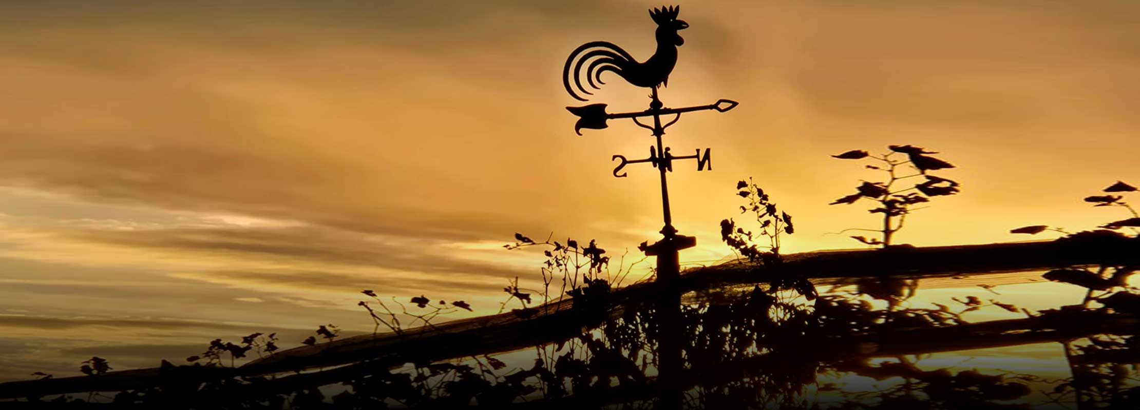 Wetterhahn bei Sonnenuntergang