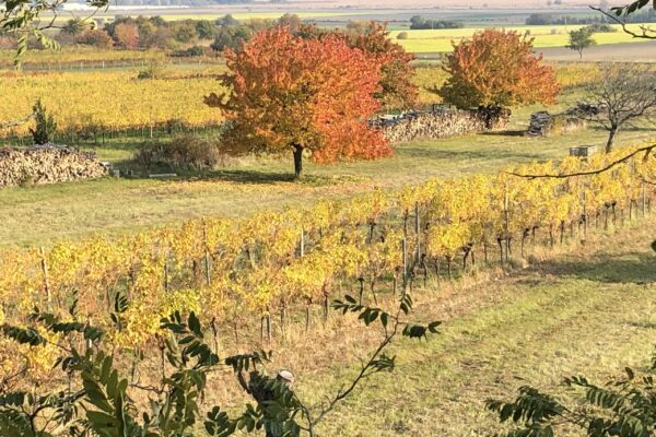 Herbst