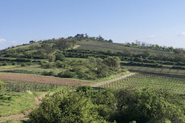 Landschaft am Berg