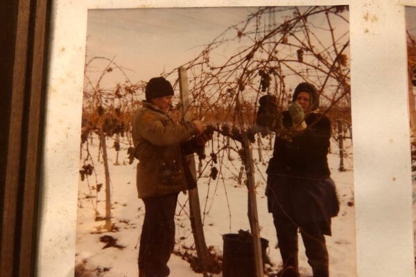 Lese 1978