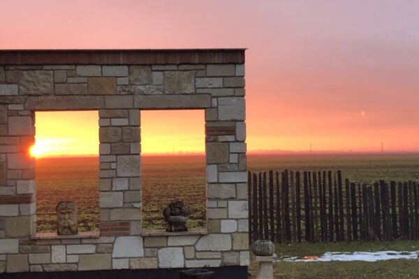 Sonnenaufgang im Weingut