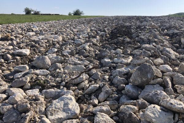 Terroir