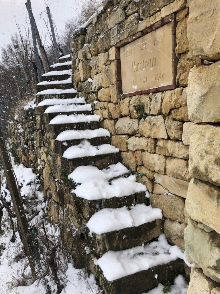 Stiege im Winter