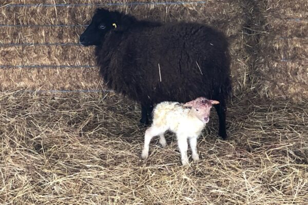just born