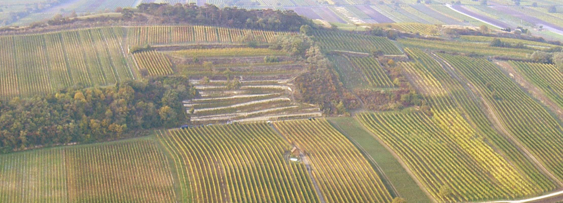 Flugansicht Kirschgarten