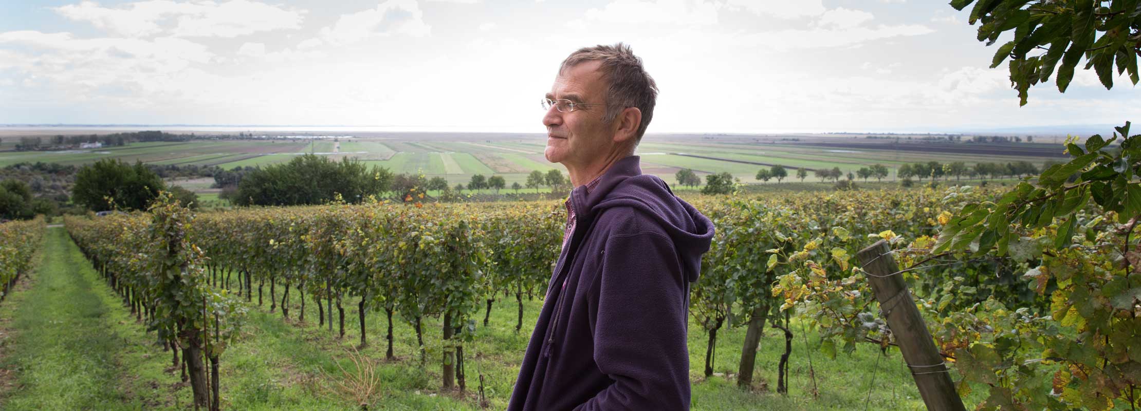 Josef Umathum im Weingarten