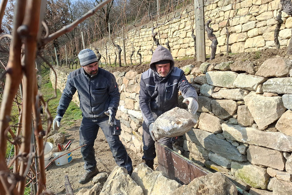 Arbeiter bauen eine Terrassenmauer im Weingarten
